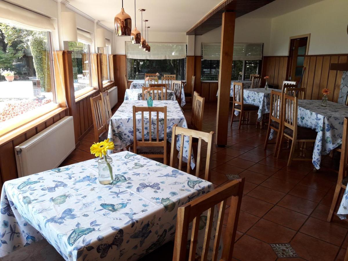 Hotel Y Cabanas El Parque Villarrica Kültér fotó