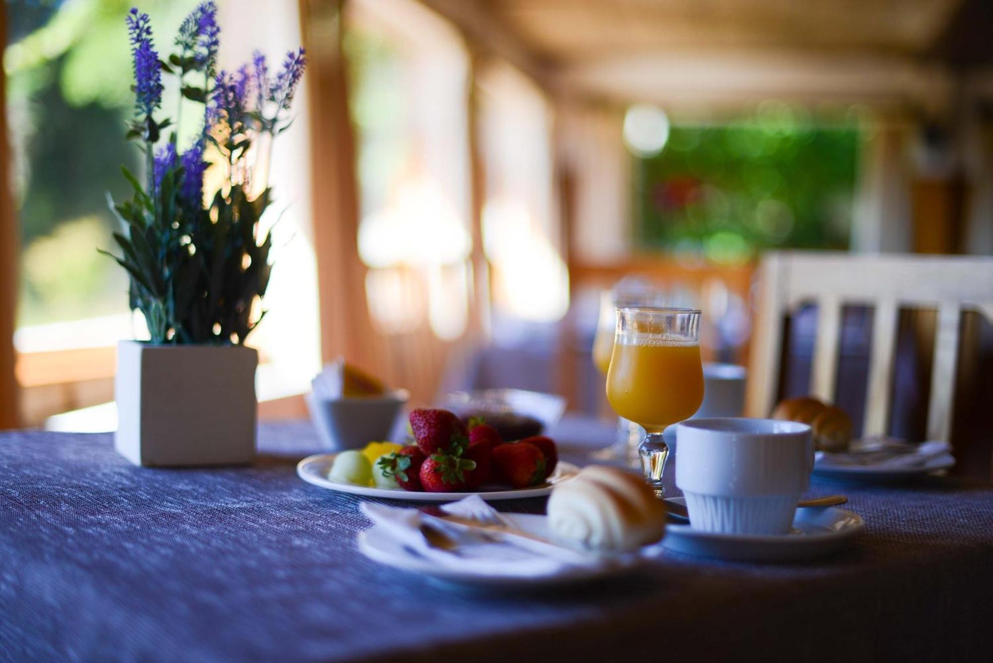 Hotel Y Cabanas El Parque Villarrica Kültér fotó